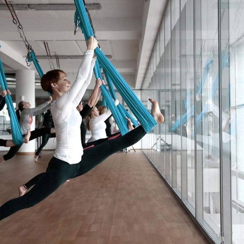 Aerial Yoga Swing Trapeze Inversion Therapy Multi Loop Hanging Strap Fitness New