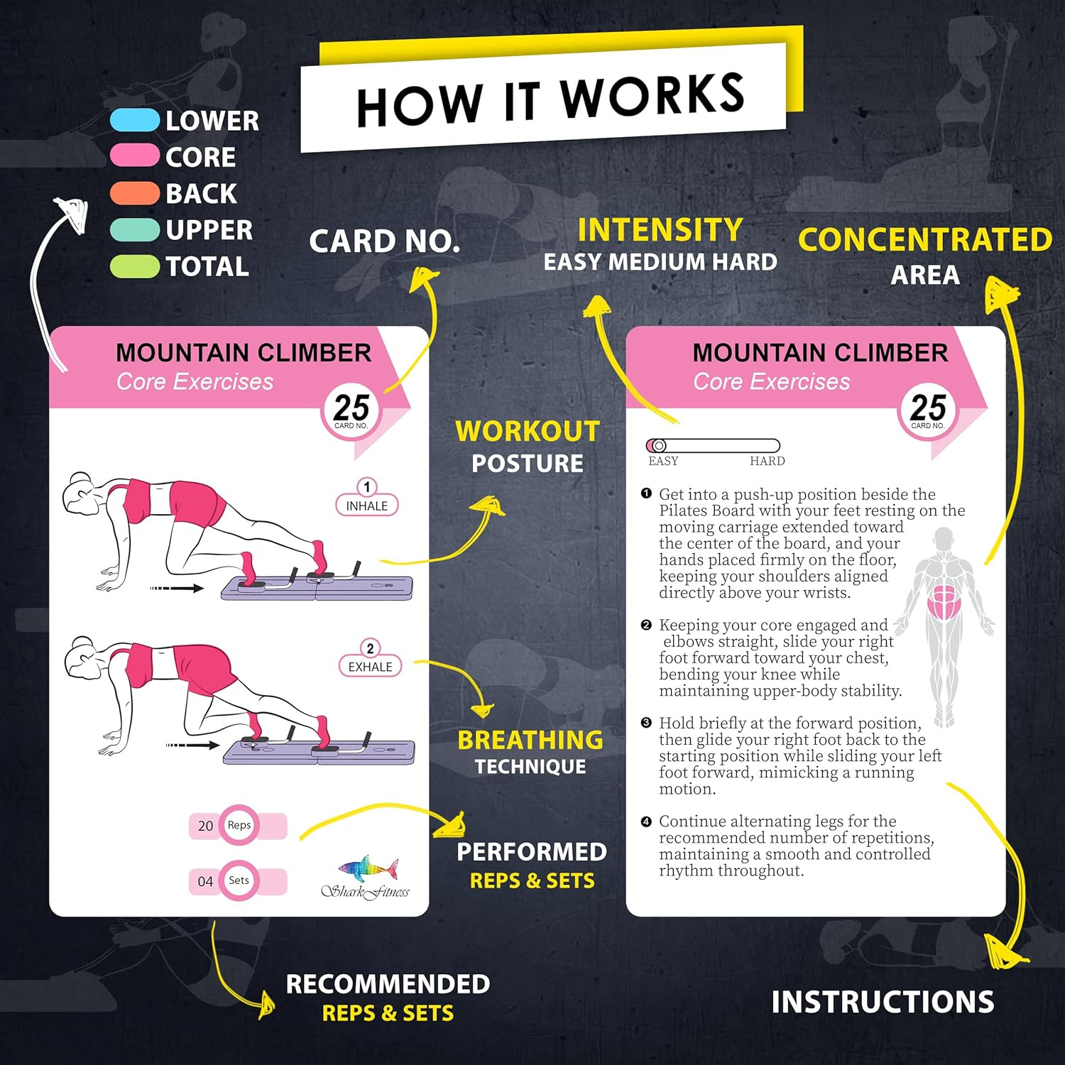 Pilates Board Workout Cards – 71 Reformer Board Exercise Cards with Postures, In
