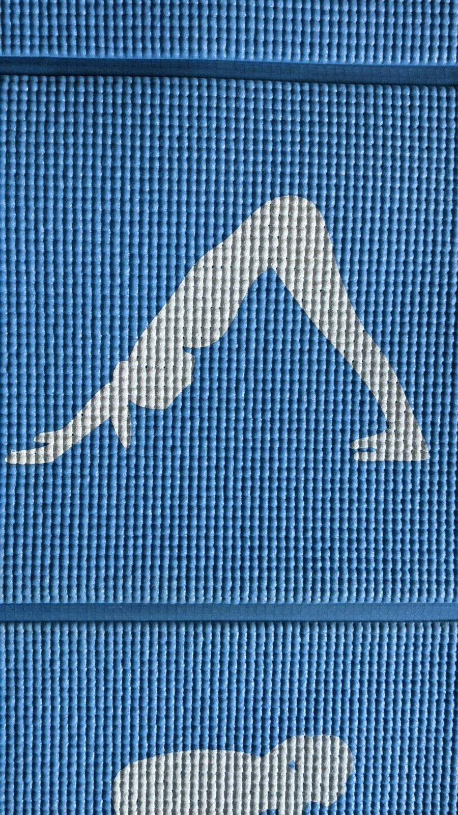 Blue Foldable Yoga Mat w/Poses 5mm