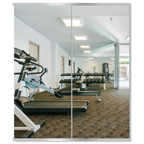 Home Gym Mirror,60 »x25 »x2PCS Silver,Large Full Body Tempered Glass