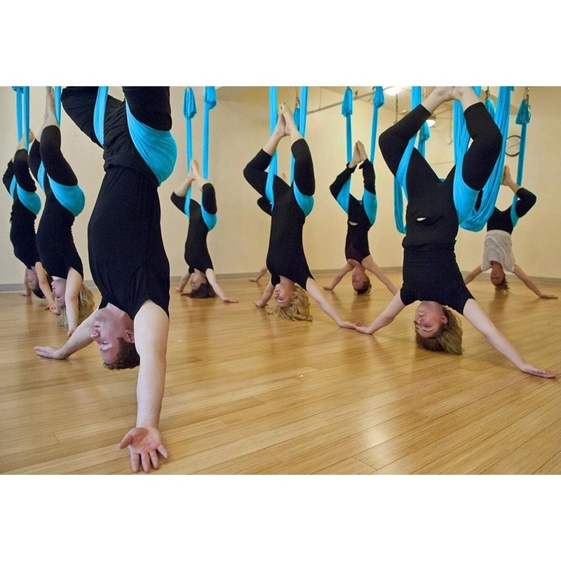 Aerial Yoga Swing Trapeze Inversion Therapy Multi Loop Hanging Strap Fitness New