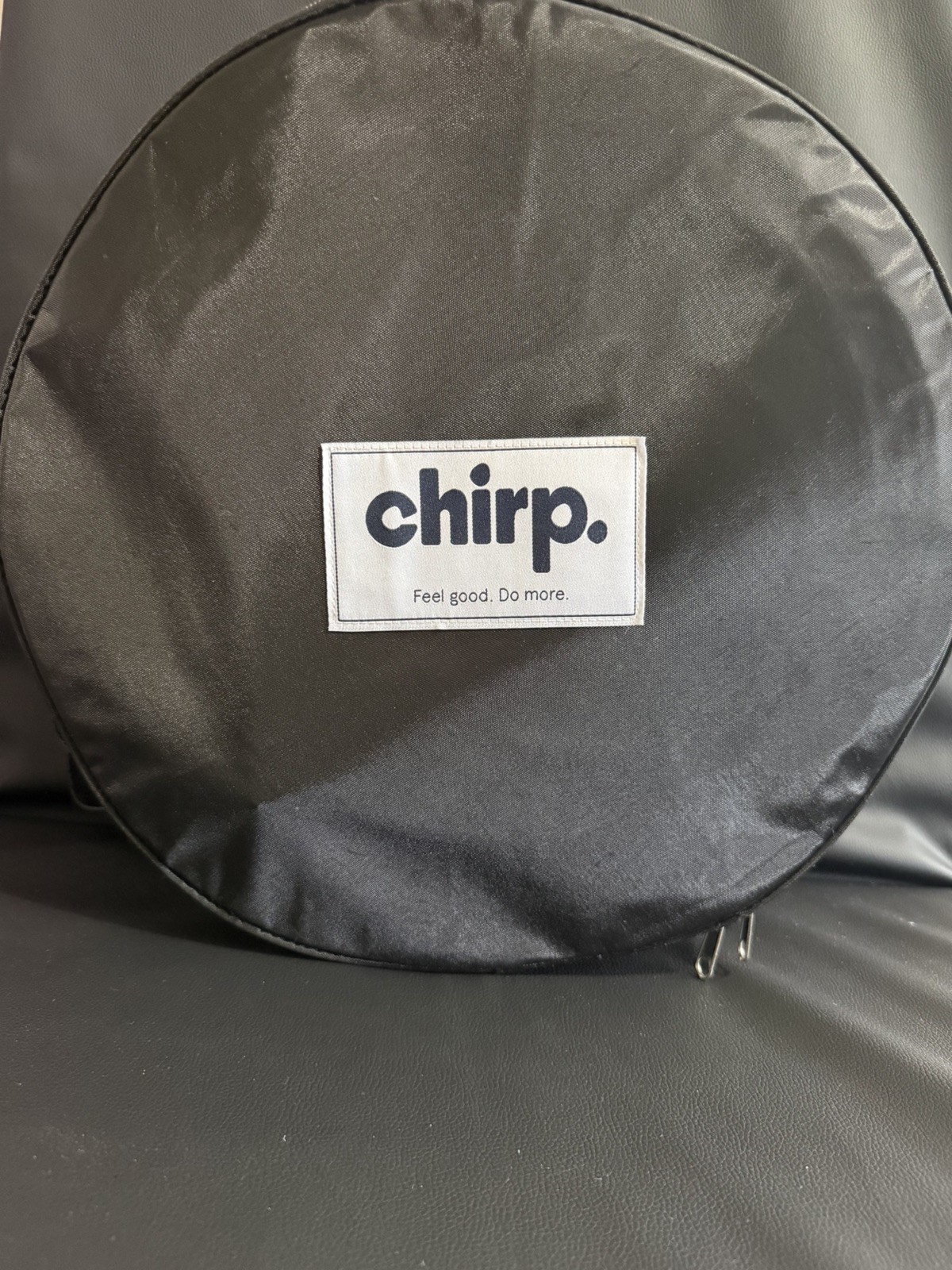 Chirp Wheel+ 4 Pack w Carry Bag Therapy Spine Yoga Roller – Mint Color
