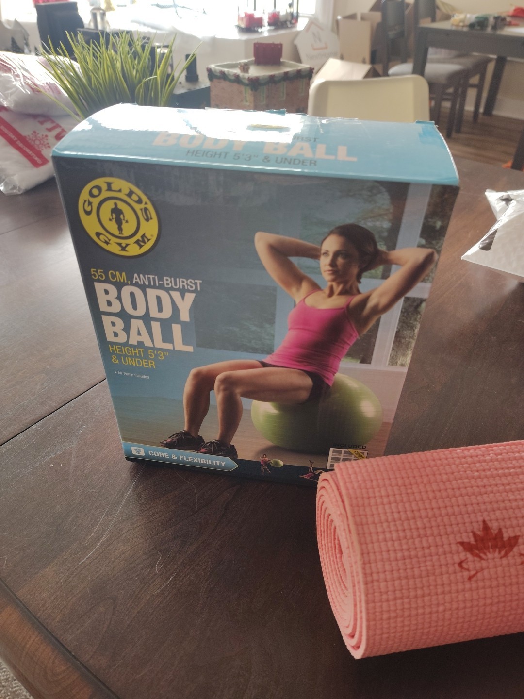 Golds Gym Body Ball And Lotus Yoga Mat