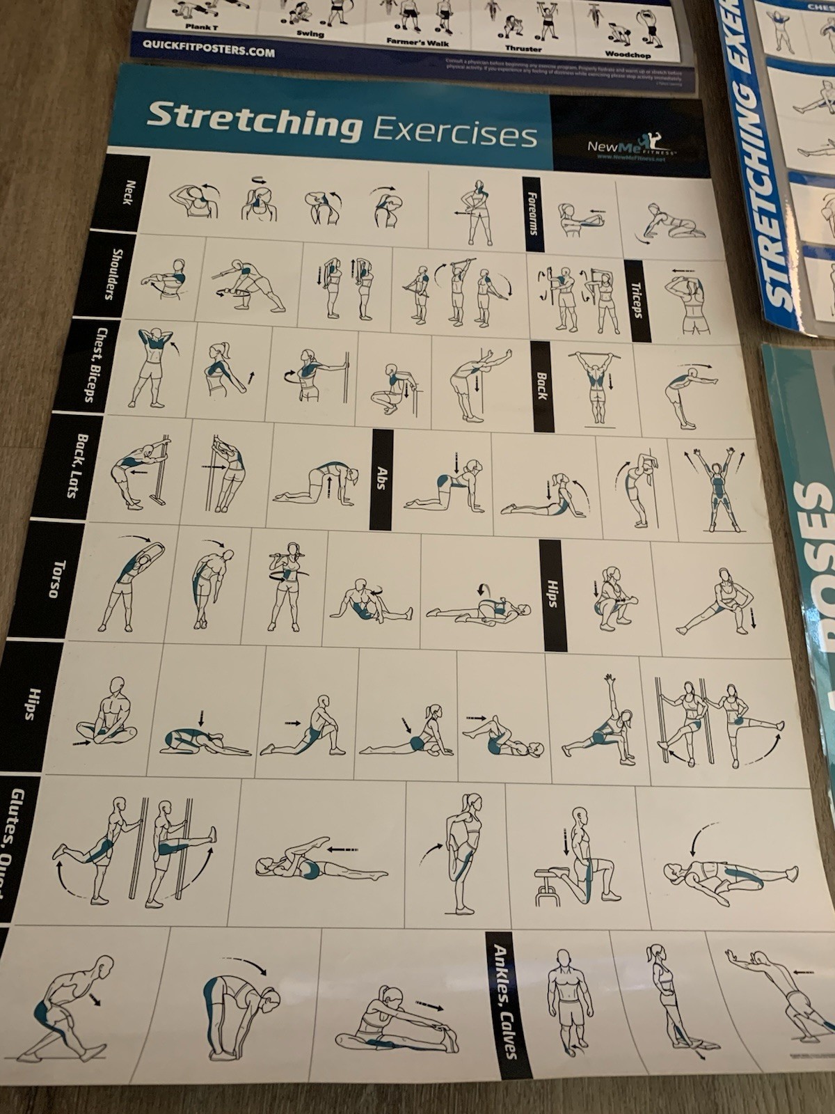WORKOUT LAMINATED POSTERS~5 PACK~2,DUMBBELL 2,STRETCHING 1,YOGA~17.5”X26.5” VNC