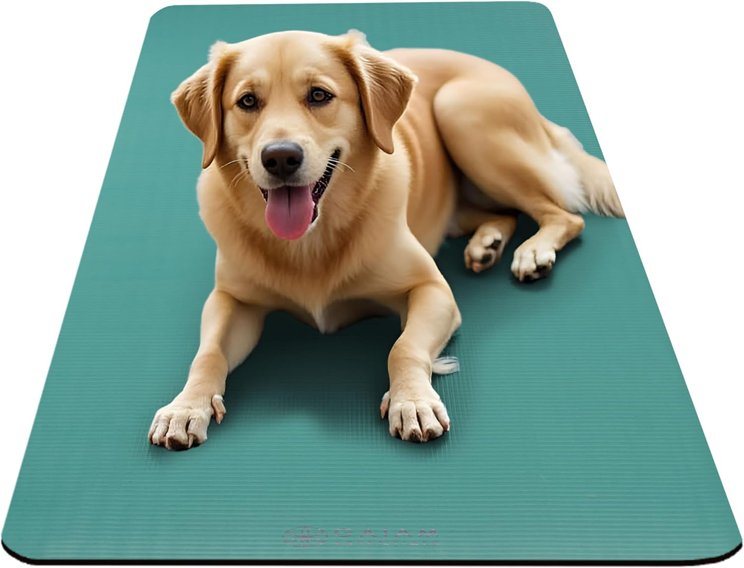 Gaiam Essentials 2/5&Prime; Thick (10Mm) Yoga & Pilates, Fitness & Exercise Mat with E