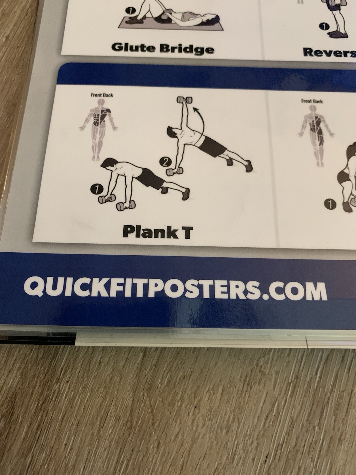 WORKOUT LAMINATED POSTERS~5 PACK~2,DUMBBELL 2,STRETCHING 1,YOGA~17.5”X26.5” VNC