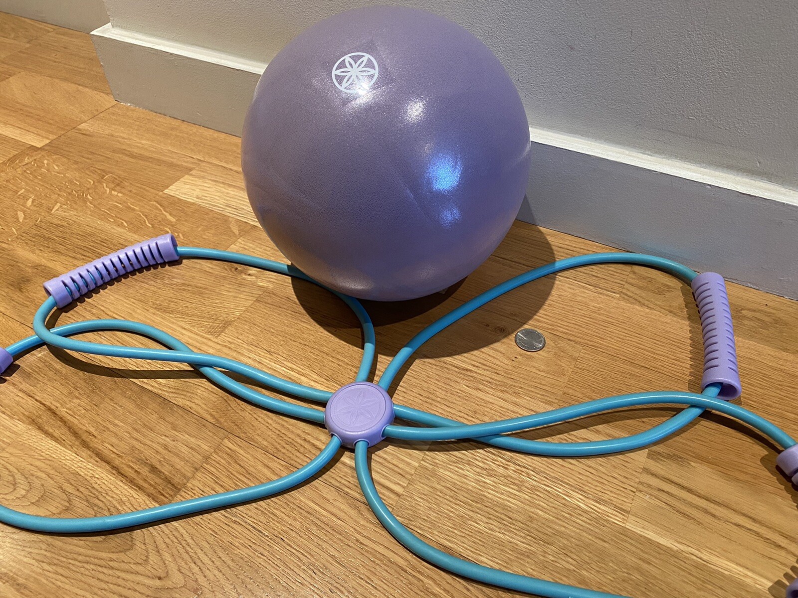 NWT Gaiam Core Toning Workout 2-piece Kit