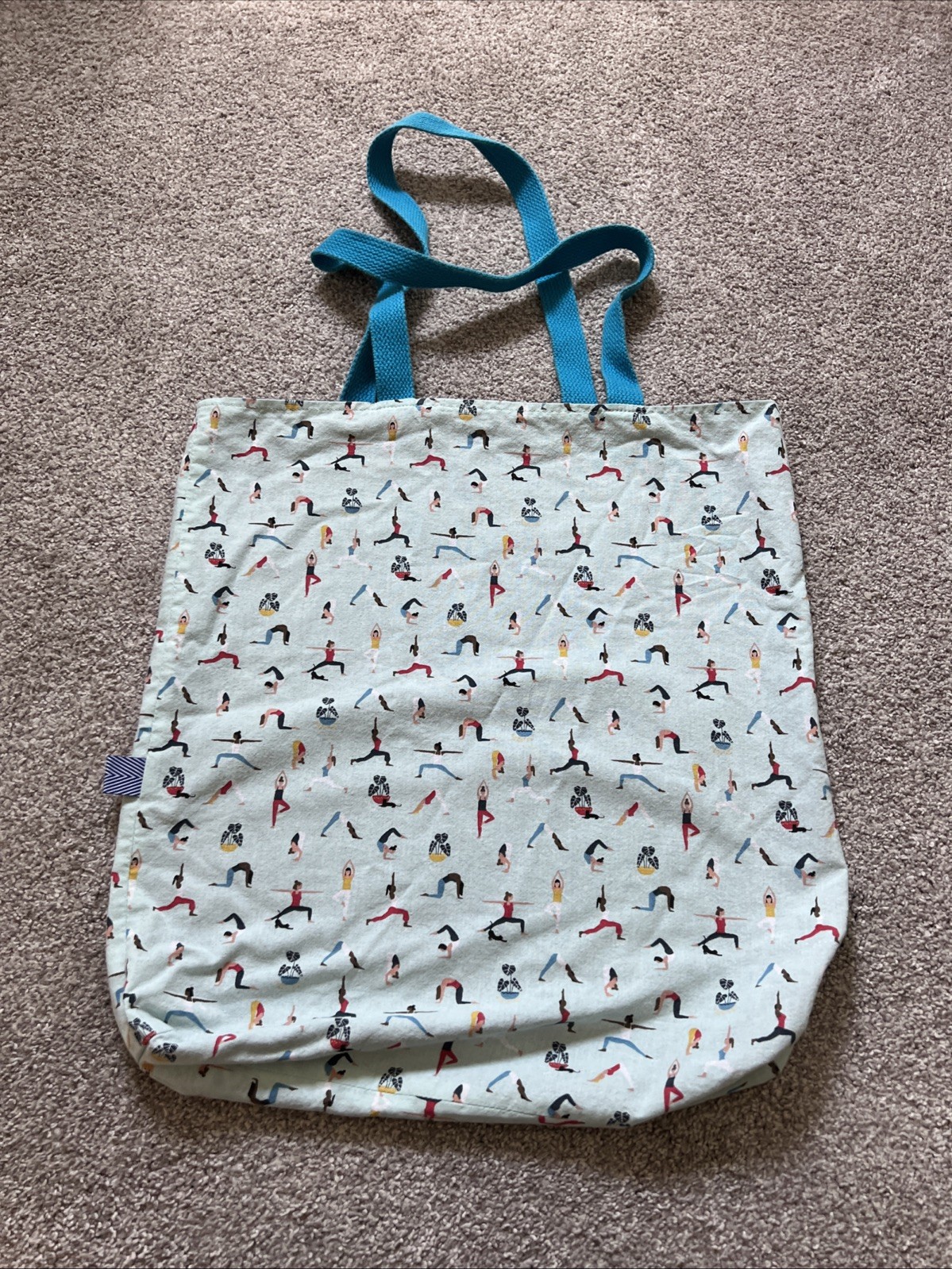 Yoga Tote Bag Gym Reusable Shopping Light Blue Poses Black Cat 13×16 Class Plant