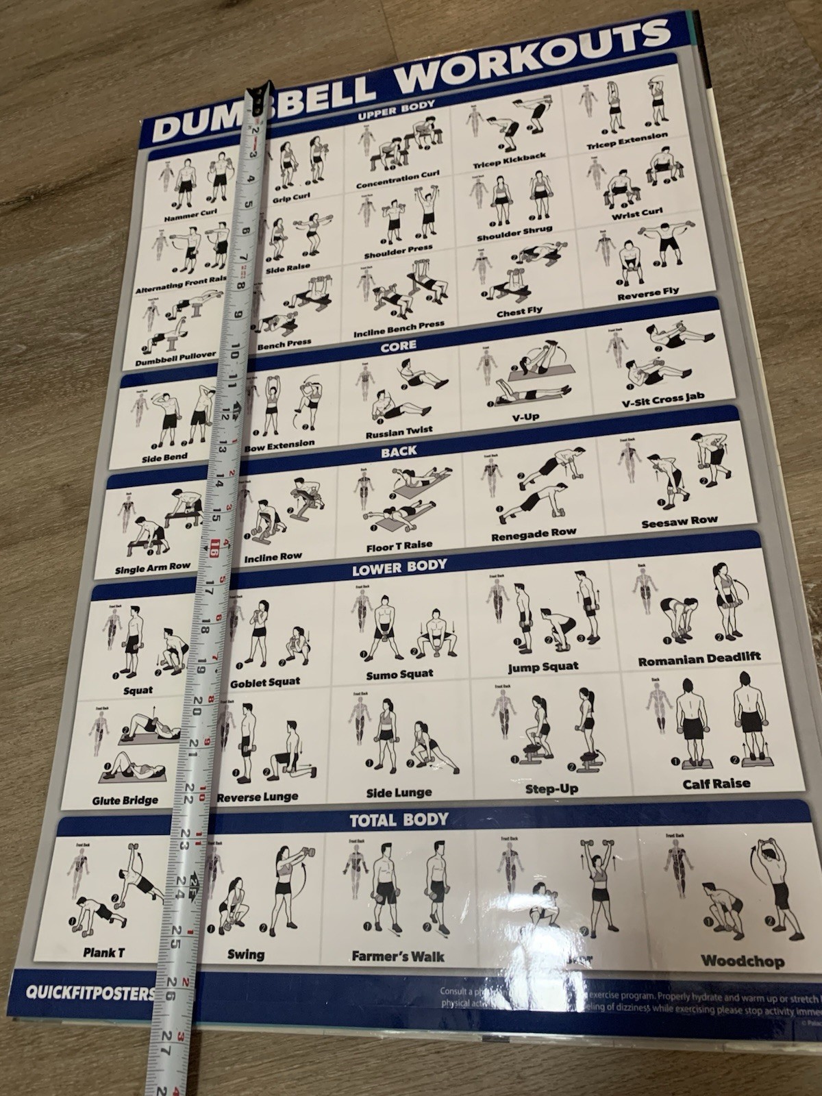 WORKOUT LAMINATED POSTERS~5 PACK~2,DUMBBELL 2,STRETCHING 1,YOGA~17.5”X26.5” VNC