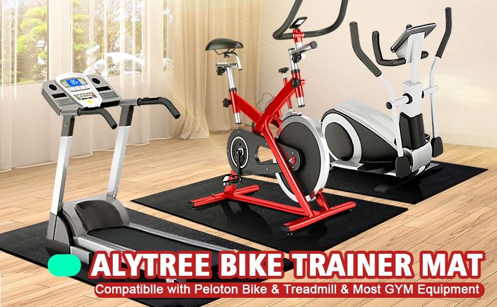 Bike Mat | 6mm Thickness, 36&Prime; x 72&Prime; Exercise Bike Mat/Treadmill Mat for Hardwood