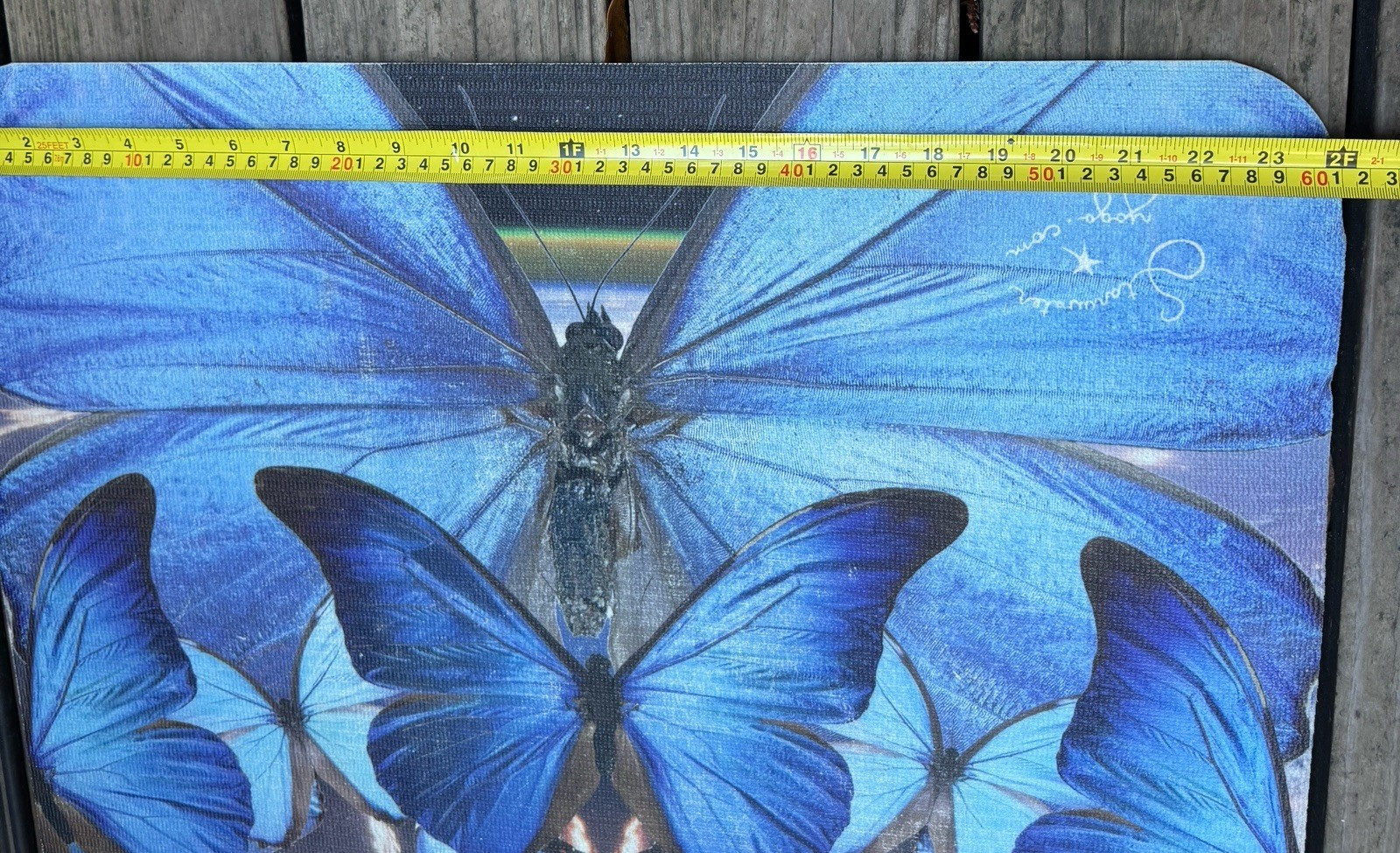 Destiny Blue Butterfly Mandala Yoga Mat Jamila Starwater Art Non Slip Exercise