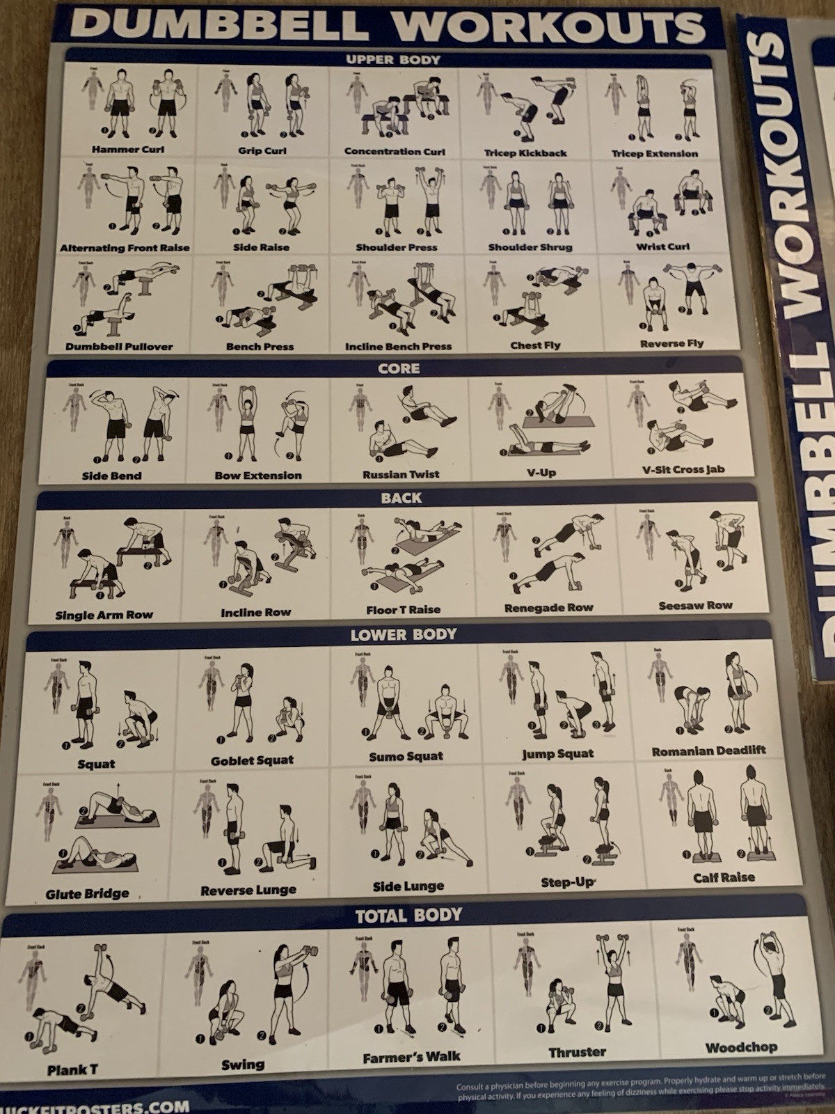 WORKOUT LAMINATED POSTERS~5 PACK~2,DUMBBELL 2,STRETCHING 1,YOGA~17.5”X26.5” VNC