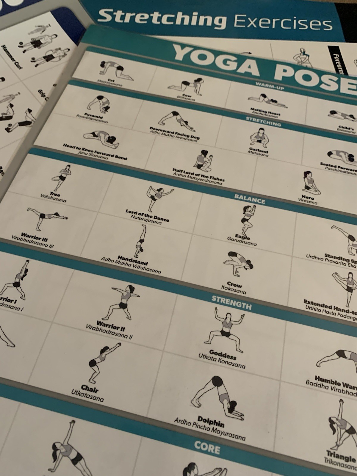 WORKOUT LAMINATED POSTERS~5 PACK~2,DUMBBELL 2,STRETCHING 1,YOGA~17.5”X26.5” VNC