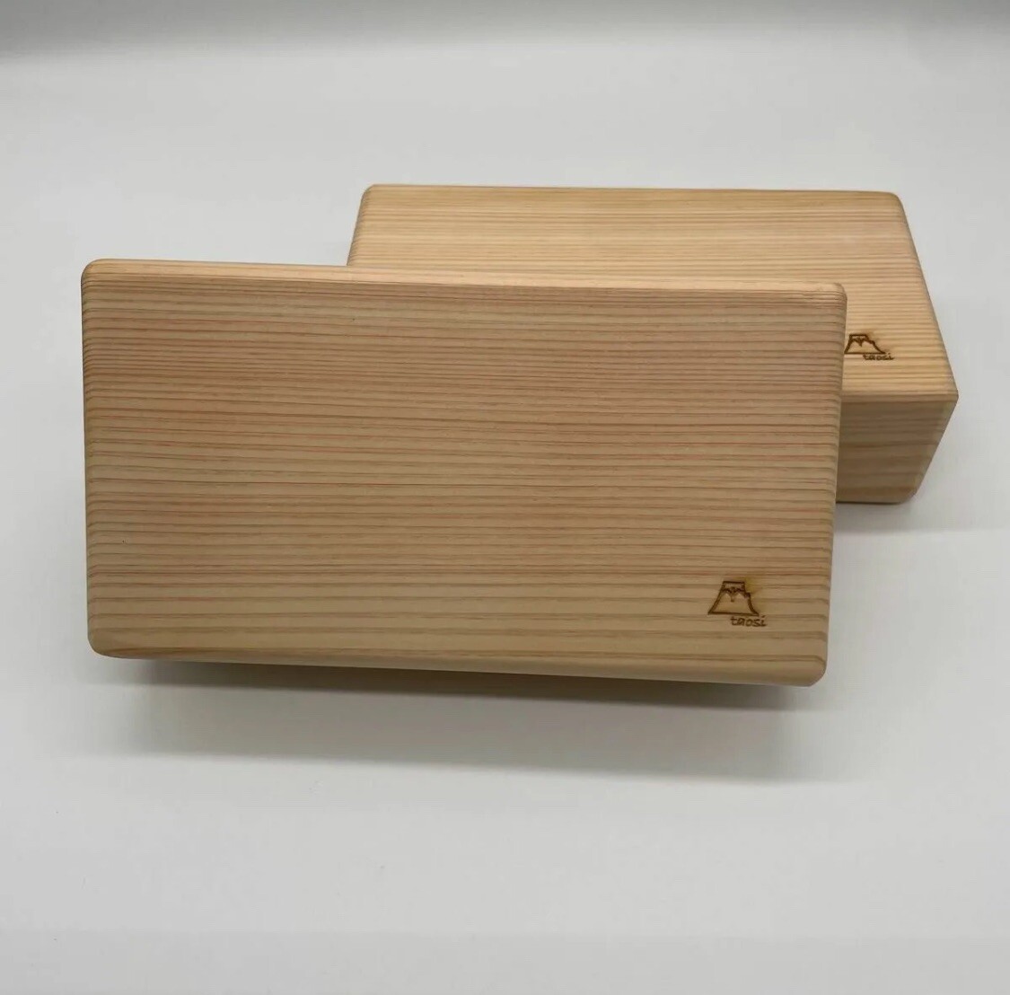 Mt.Fuji Yoga Block 2PCS from JAPAN