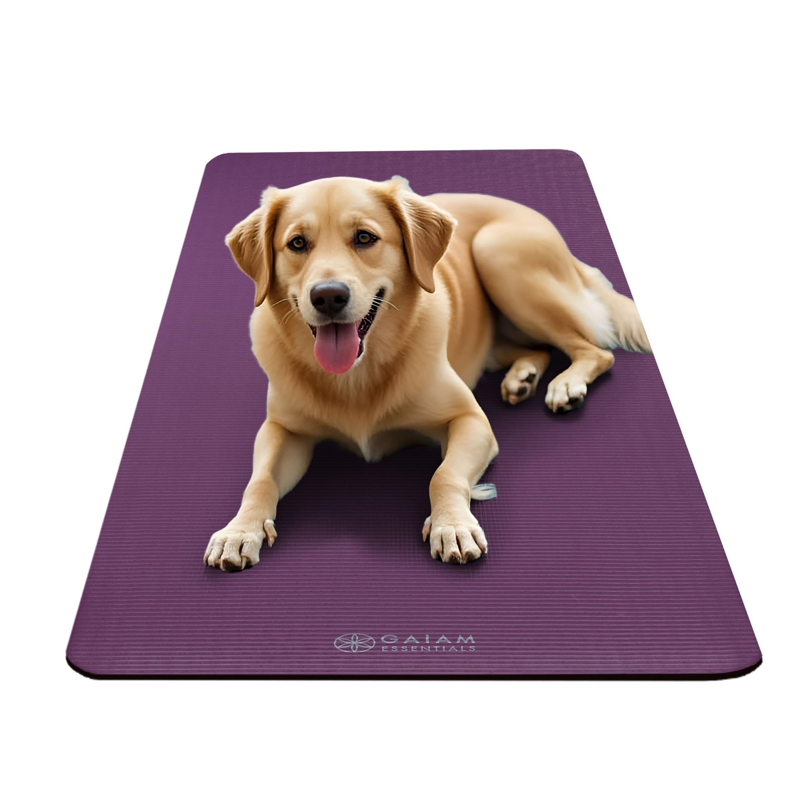 Gaiam Essentials 2/5 Thick (10mm) Yoga & Pilates Fitness & Exercise Mat with