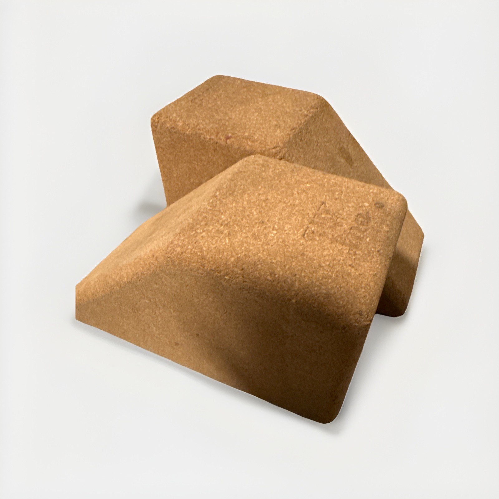 Pair Of Cork Yoga Blocks