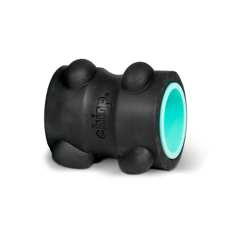 CHIRP WHEEL XR 4&Prime; BACK STRETCHER, 500 LB CAPACITY – BLACK/TEAL