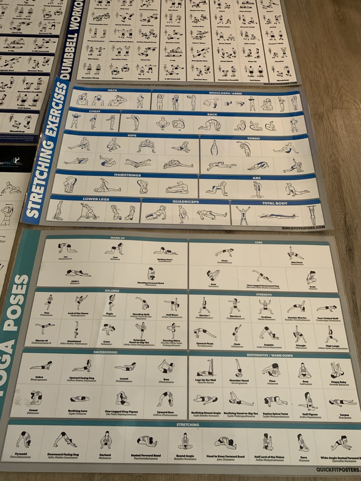 WORKOUT LAMINATED POSTERS~5 PACK~2,DUMBBELL 2,STRETCHING 1,YOGA~17.5”X26.5” VNC