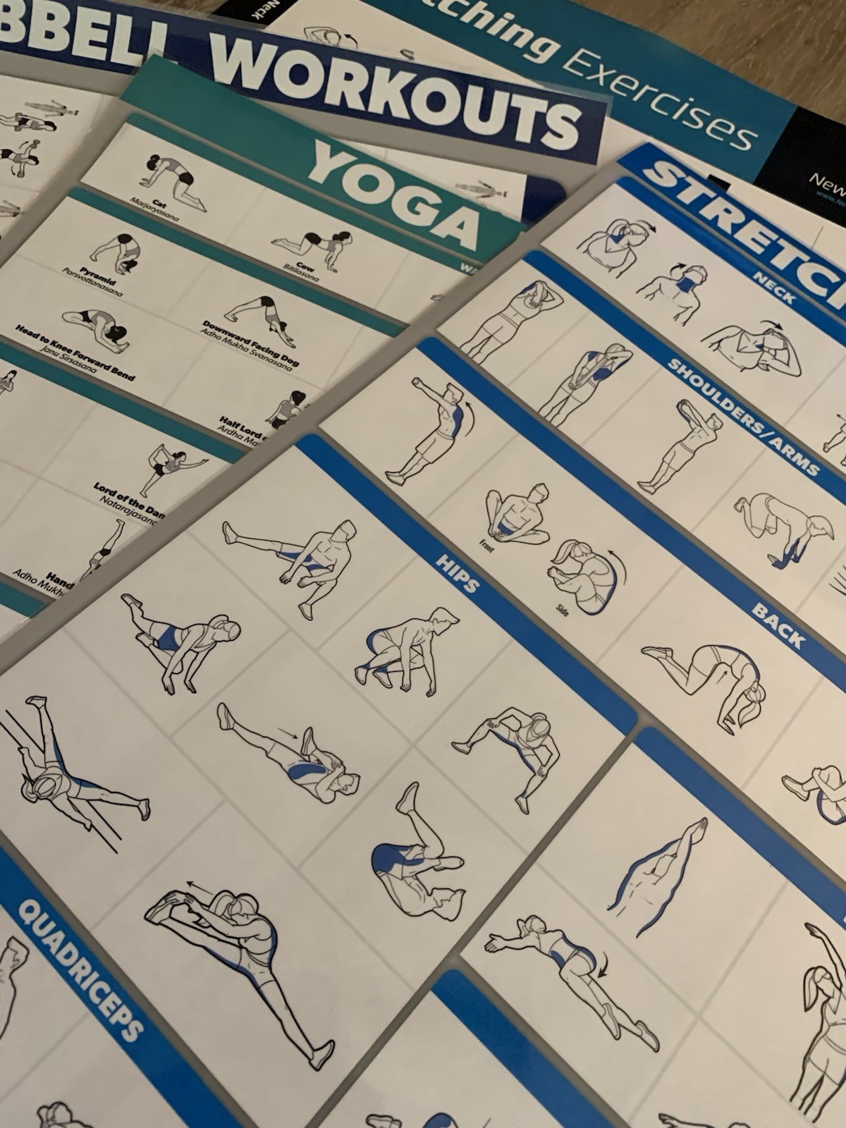 WORKOUT LAMINATED POSTERS~5 PACK~2,DUMBBELL 2,STRETCHING 1,YOGA~17.5”X26.5” VNC