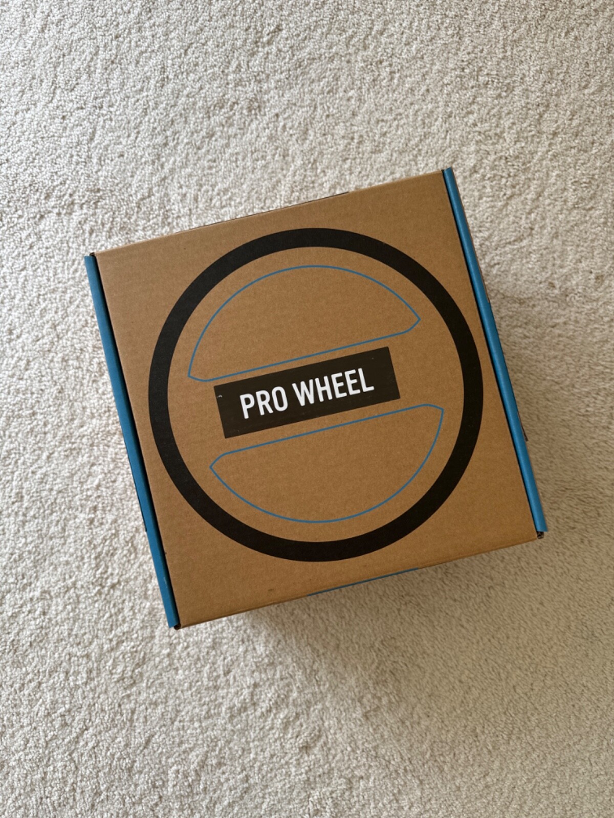 Chirp pro wheel 10”
