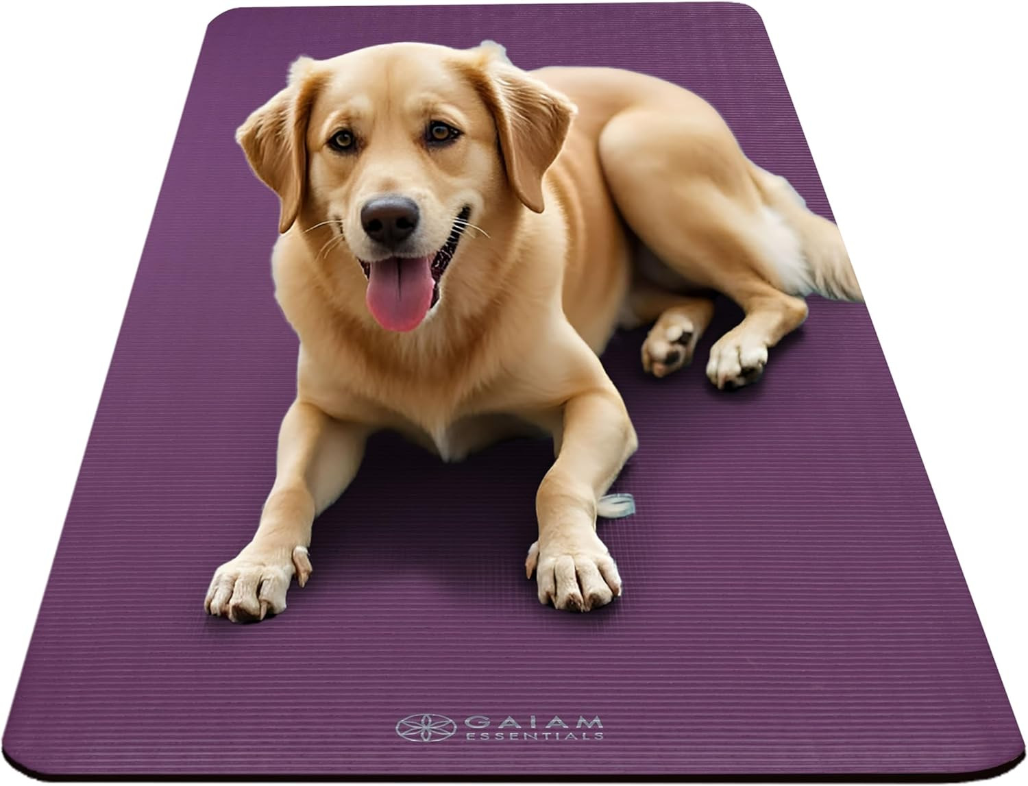 Yoga Mat, Pilates & Exercise Mat, Thick 2/5&Prime; (10Mm) Workout Mat with Easy-Cinch