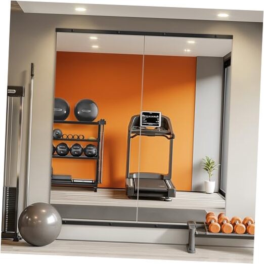 Home Gym Mirror for Wall,56x28x2PCS Full 56&Prime;L x 28&Prime;W x 2PCS Matte Black