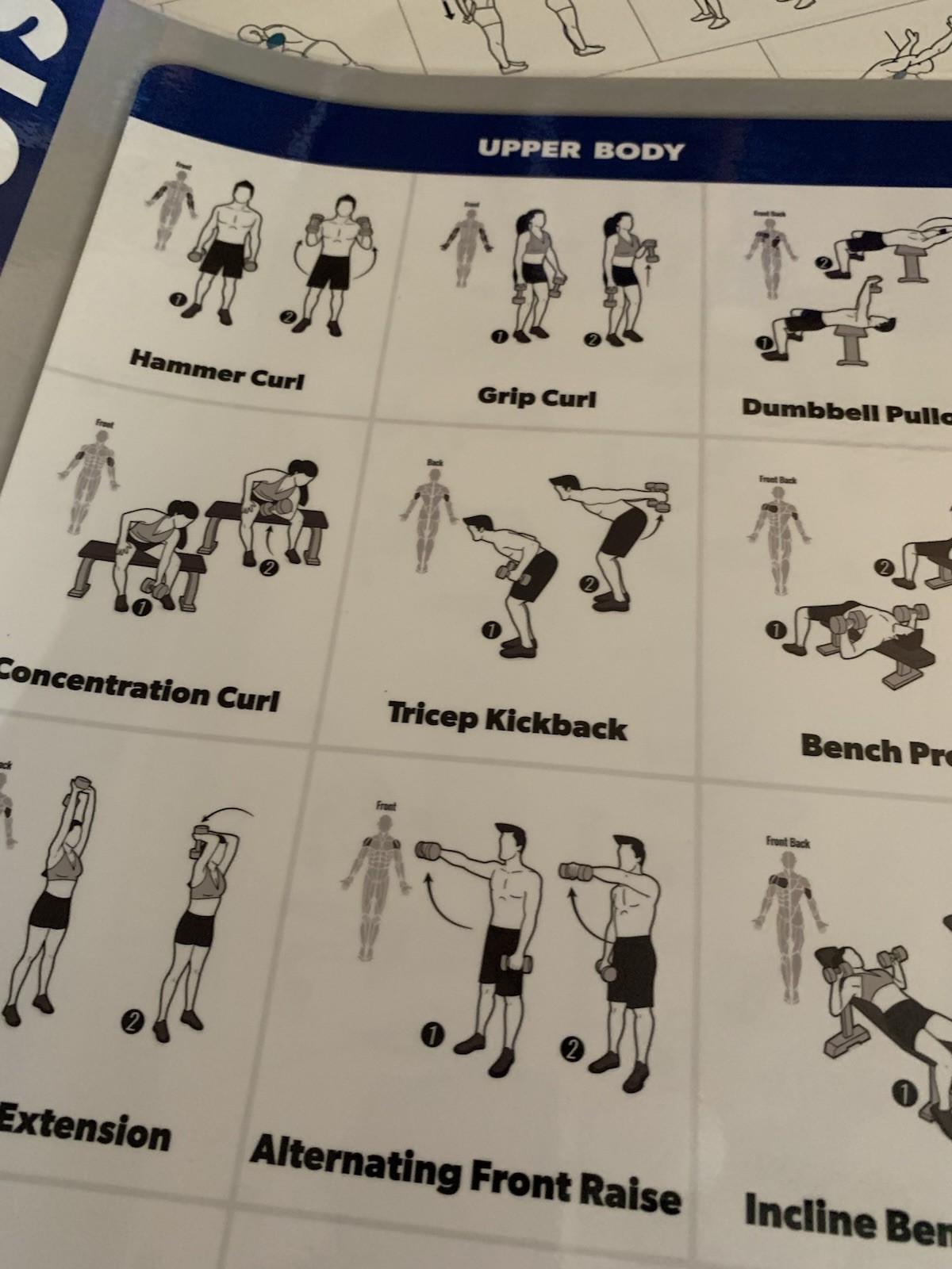 WORKOUT LAMINATED POSTERS~5 PACK~2,DUMBBELL 2,STRETCHING 1,YOGA~17.5”X26.5” VNC