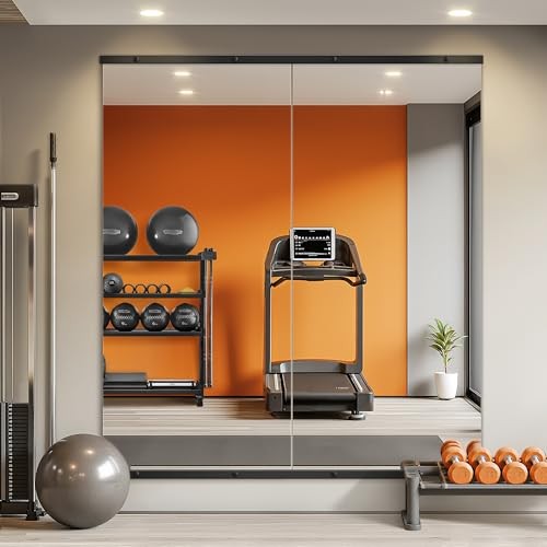Home Gym Mirror for Wall,56x28x2PCS Full 56&Prime;L x 28&Prime;W x 2PCS Matte Black