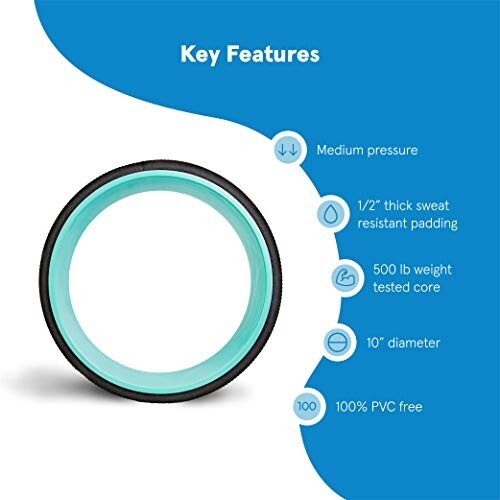Chirp Wheel+ 10&Prime;