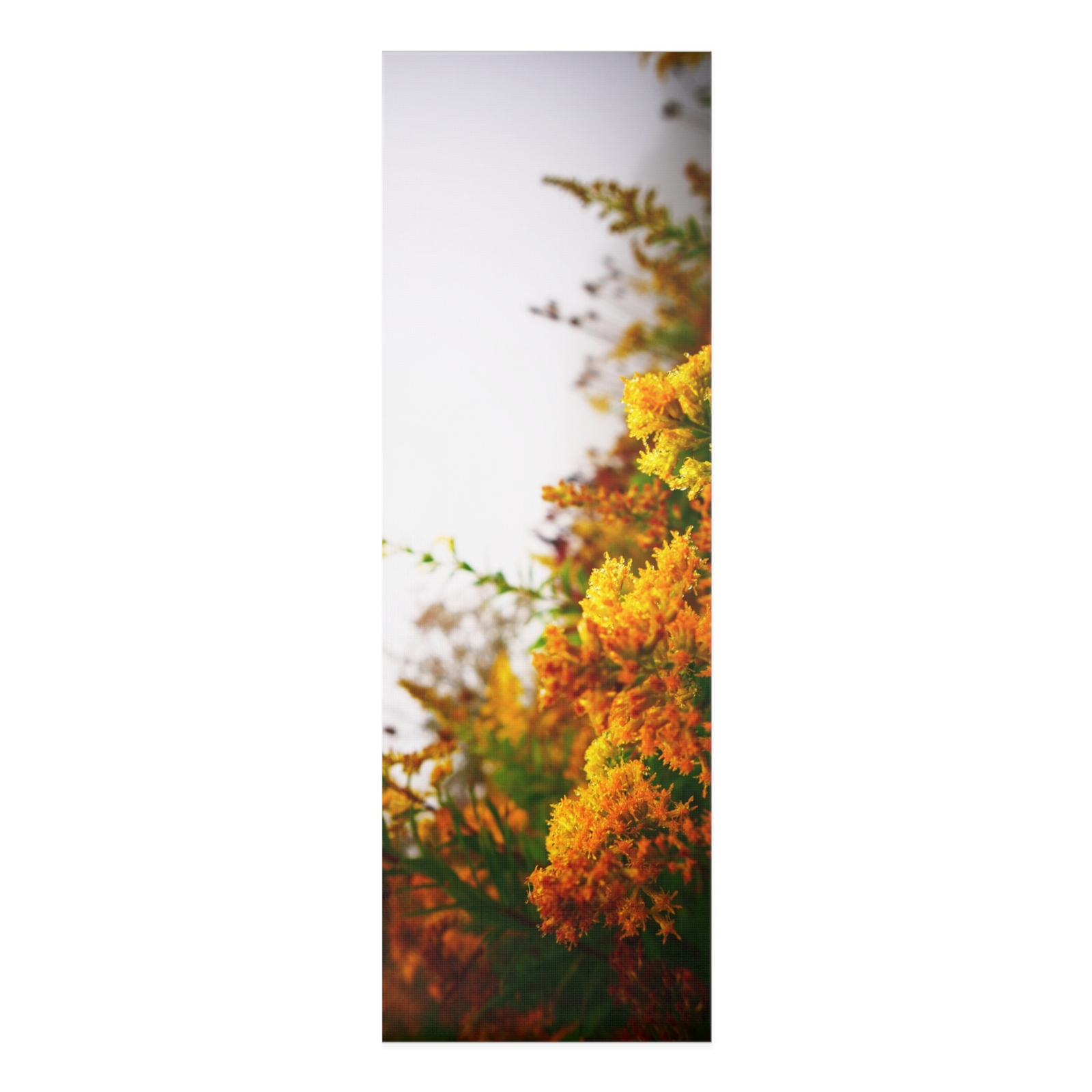 Butterfly Plant Yoga Mat