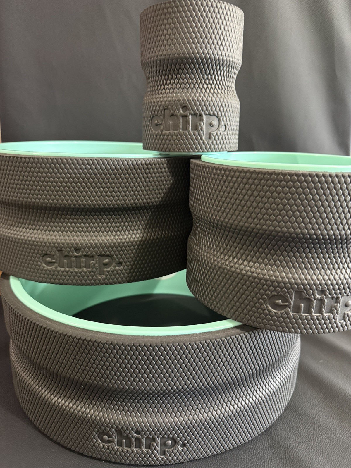 Chirp Wheel+ 4 Pack w Carry Bag Therapy Spine Yoga Roller – Mint Color