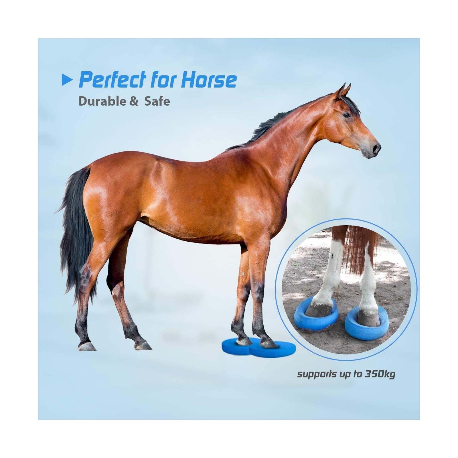 Foam Balance Pad,5BILLION Stability Pad for Physical Therapy,No… USA FAST SHIP