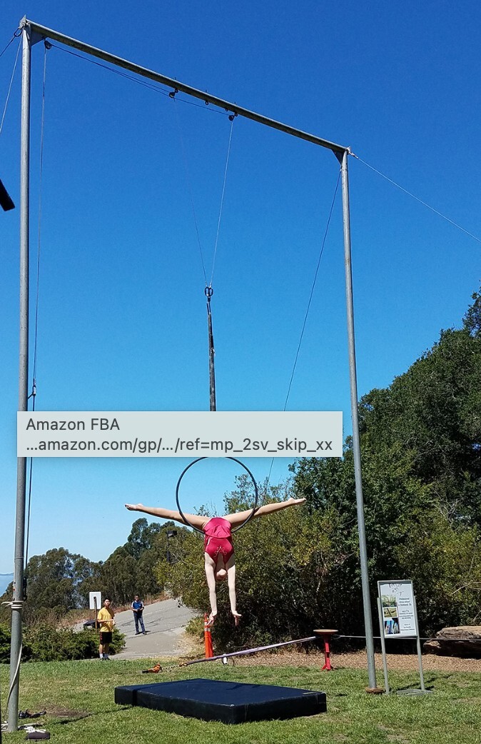 Aerial trapeze rig for sale – 21&prime; tall – $2,250