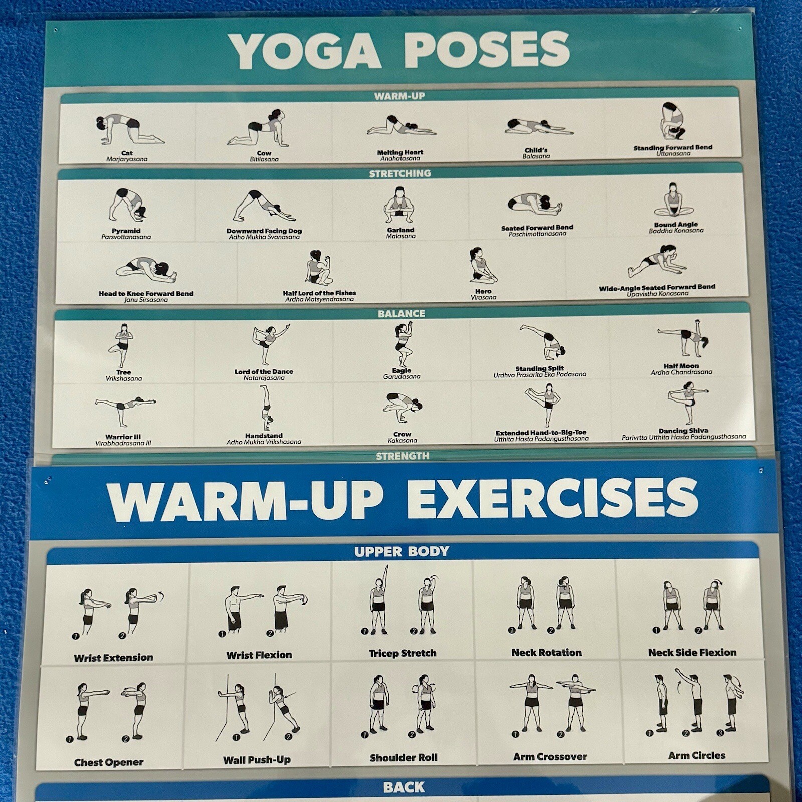 QuickFit Yoga Posters 4 Posters Stretching Warm-up Exercise Palace Learning