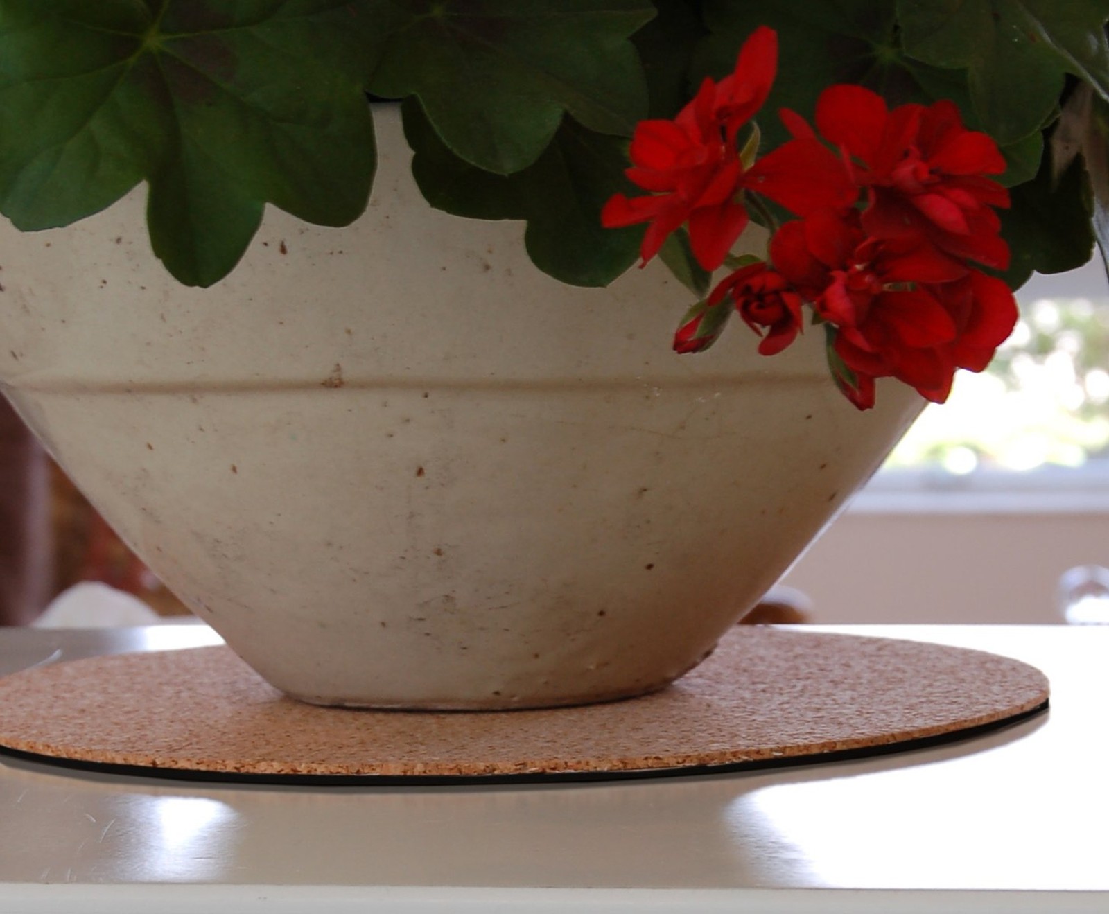 Plastec ECR12 Eco Cork Mat, 12-Inch – 100063918