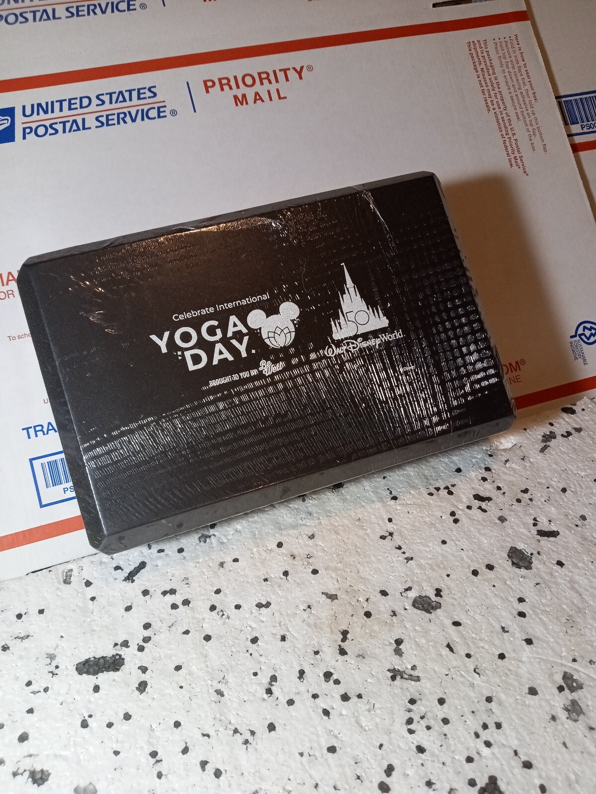 International yoga day block Walt Disney World 50th anniversary of Disney new