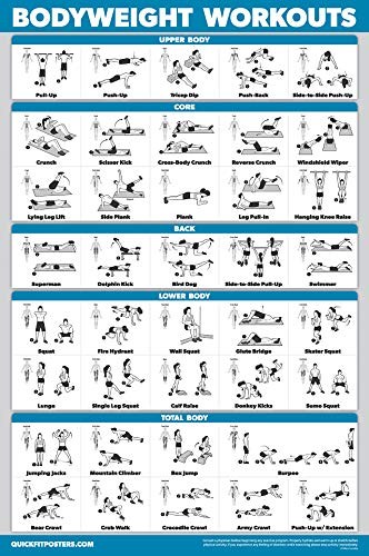 Palace Learning 4 Pack – Dumbbell Workouts + Bodyweight 18” x 24”, LAMINATED