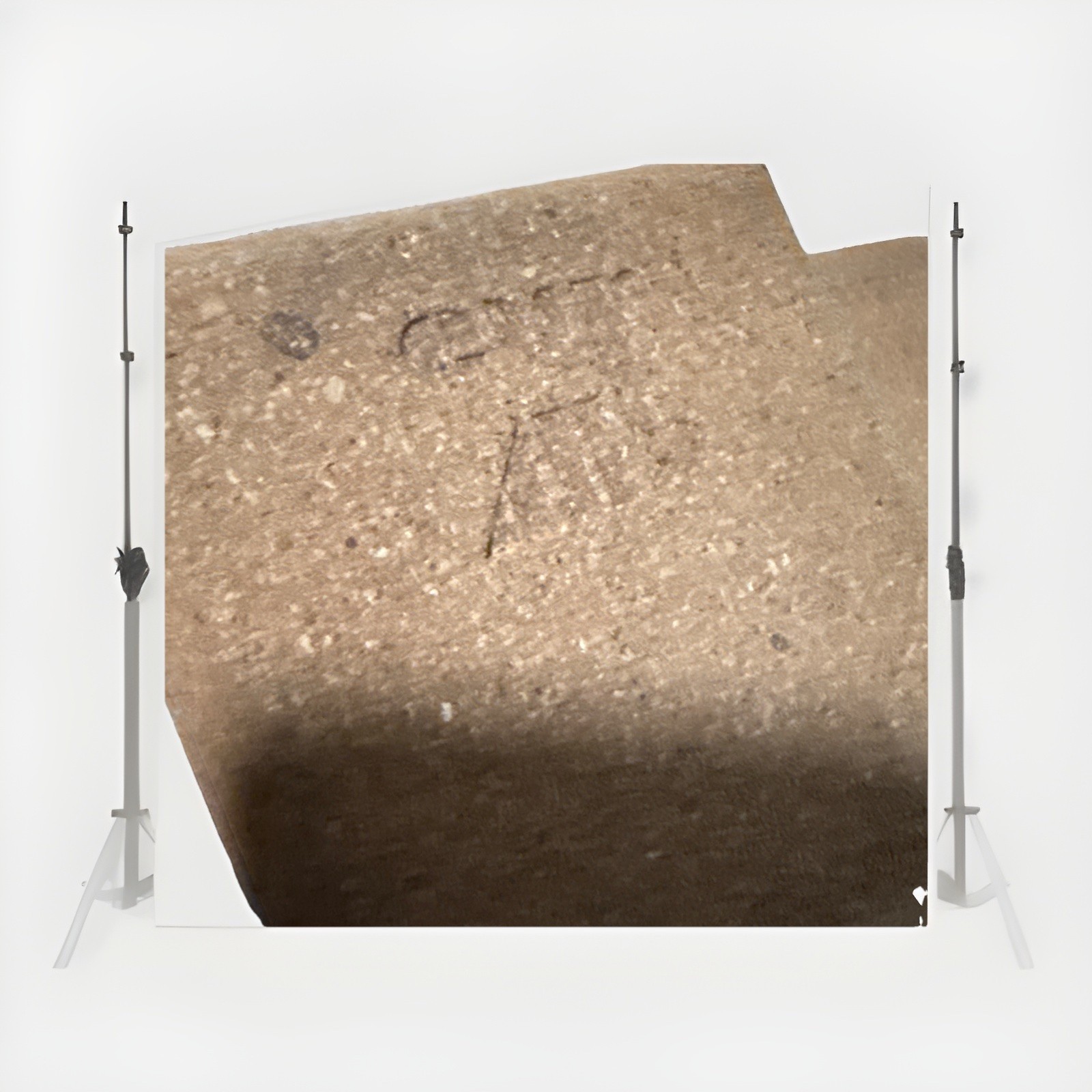 Pair Of Cork Yoga Blocks