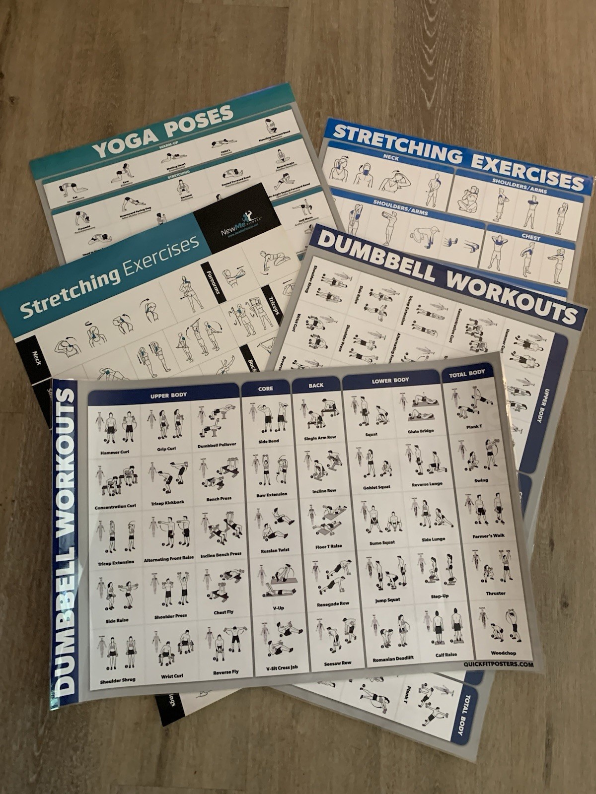 WORKOUT LAMINATED POSTERS~5 PACK~2,DUMBBELL 2,STRETCHING 1,YOGA~17.5”X26.5” VNC