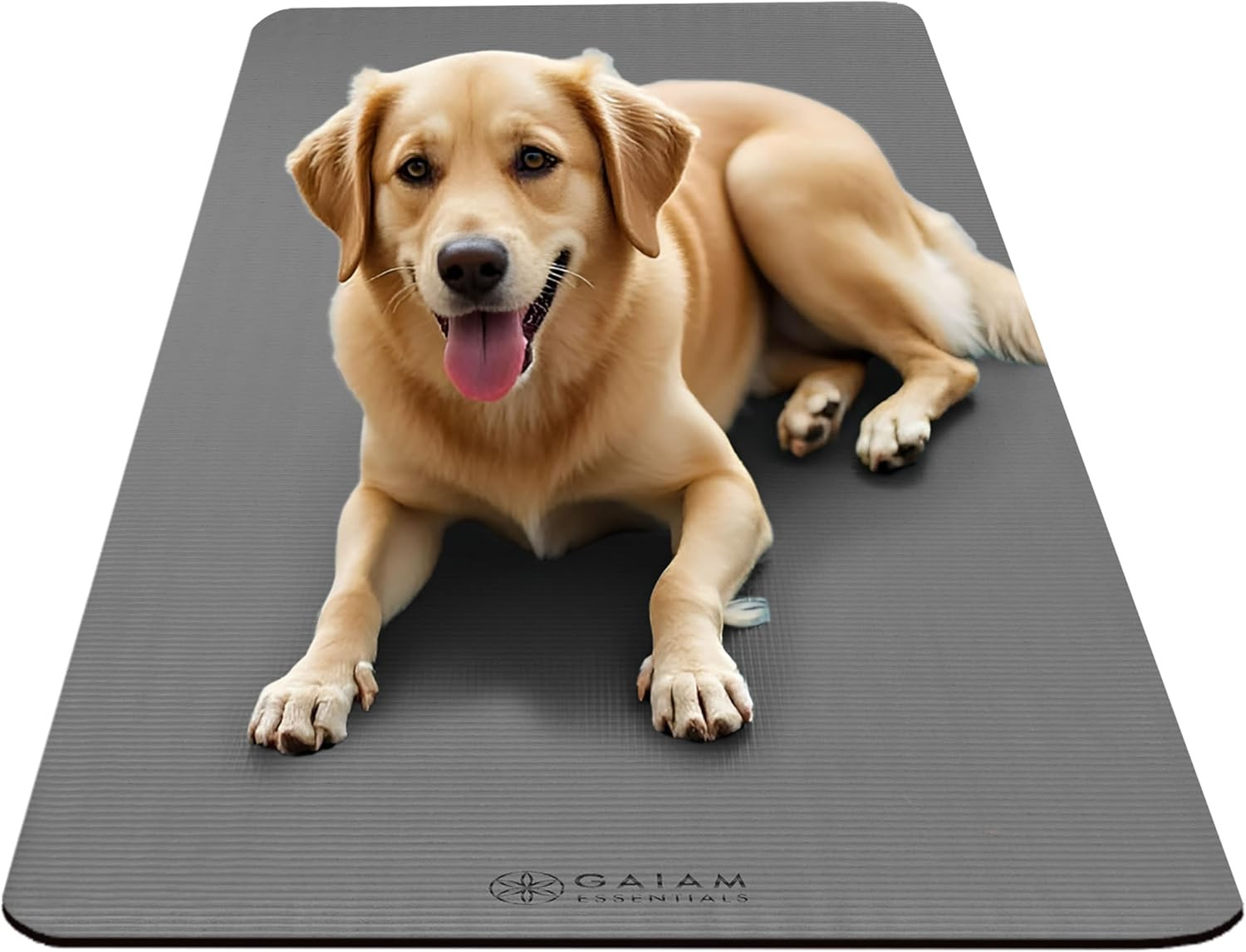 Gaiam Essentials 2/5&Prime; Thick (10Mm) Yoga & Pilates, Fitness & Exercise Mat with E