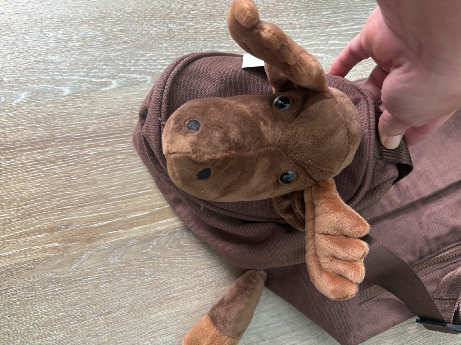yoga mat duffle bag brand YogaPets