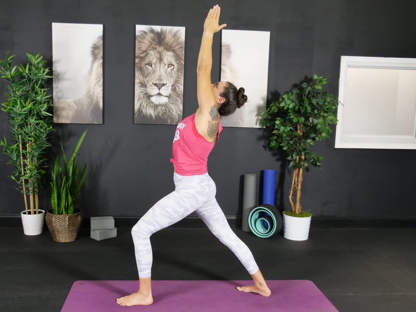 CRITICAL BENCH Easy Yoga Flow for Beginners DVD – Pink