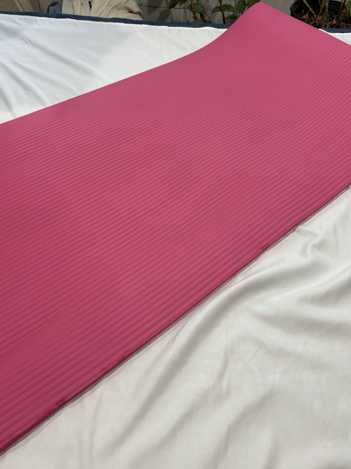 Amazon Basics Yoga Mat