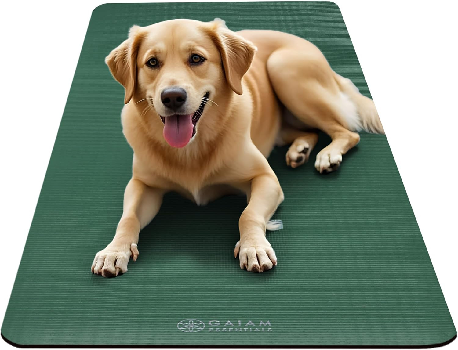 Gaiam Essentials 2/5&Prime; Thick (10Mm) Yoga & Pilates, Fitness & Exercise Mat with E