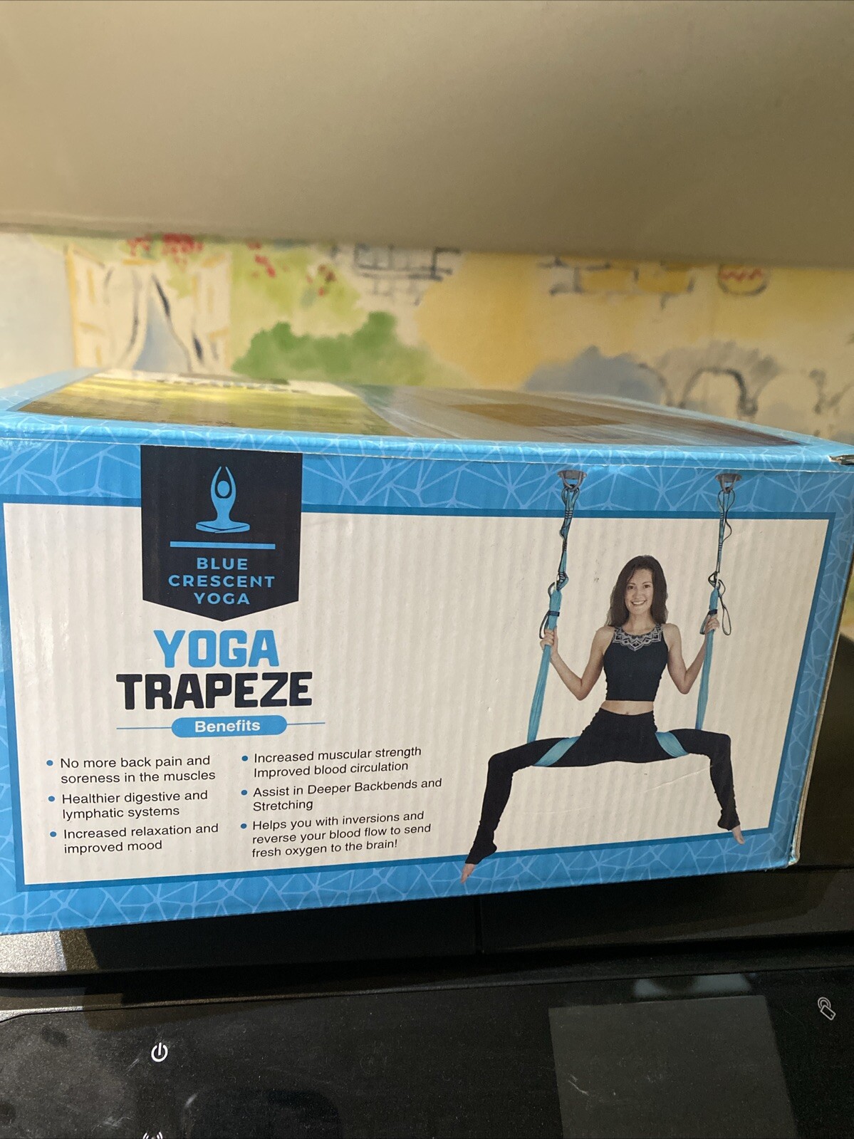 Blue Crescent Yoga YOGA TRAPEZE NIB Swing Aerial Flying Sling