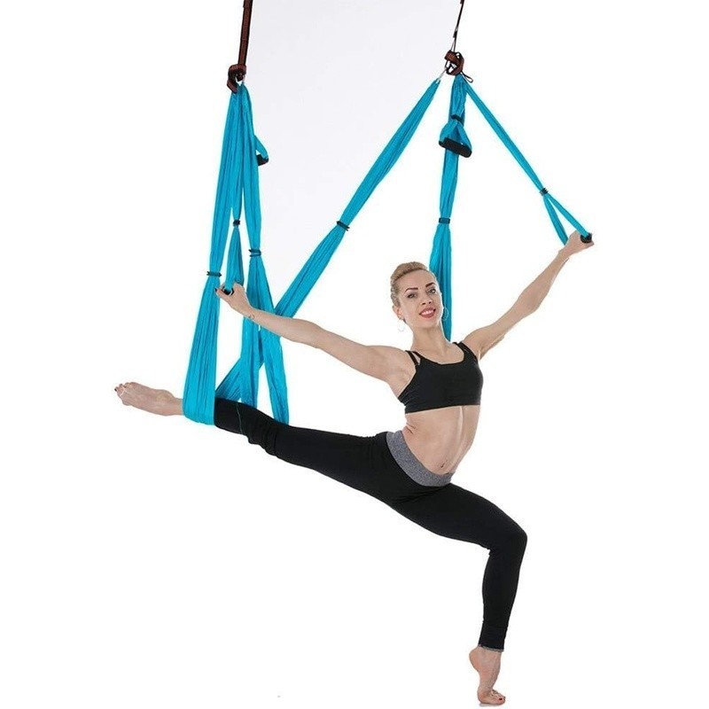 Aerial Yoga Swing Trapeze Indoor Outdoor Therapy Strength Fitness Sling New
